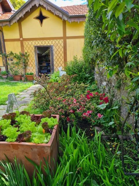 Ca Balossa, Tremezzina Lago Di Como Davanti A Bellagio E Villa Balbianello Mezzegra Exterior foto